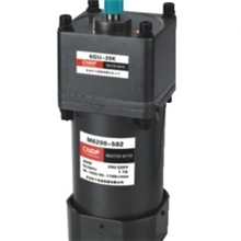 专业供应交流电机定速电机200W马达6IK200香港东方