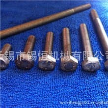 现货供应外六角4.8级外六角本色外六角30螺栓外六角螺栓