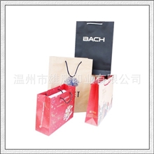 供应手提纸袋,礼品袋，服装袋，纸袋定做，礼品袋，温州印刷厂家