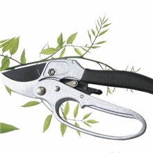XL801-修枝剪/花园剪/园林工具/整枝剪