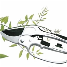 XL802-修枝剪/花园剪/园林工具/整枝剪