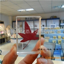 居家摆件时尚商务礼品透明水晶胶摆件树脂内埋树叶花草工艺品