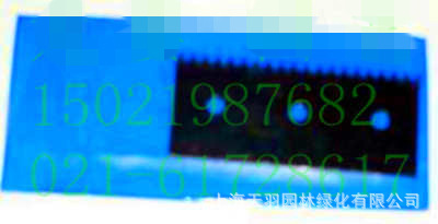 台湾SONO绑枝机刀片/绑枝器专用刀片绑蔓器刀片j99/nj99