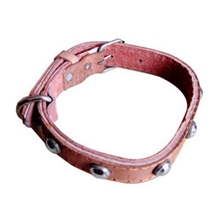 宠物牵引绳，项圈（头层牛皮）定制，批发！