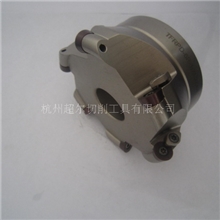 【厂家直销】供应TFRPD-6R-100-32-6T高性价立铣刀具