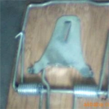 供应老鼠夹弹簧