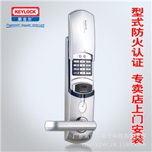 供应第吉尔密码锁、指纹锁