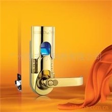 供应指纹锁，密码锁，电子锁