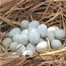 适合孕妇富硒营养美味健康绿色黑鸡绿壳鸡蛋礼品装