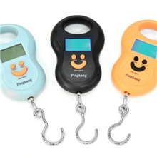 【工厂直销】批发便携式行李快递挂称电子手提秤吊钩秤50kg