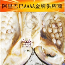 HB-001供应珍珠河蚌小额批发河蚌特大珍珠河蚌珍珠活河蚌