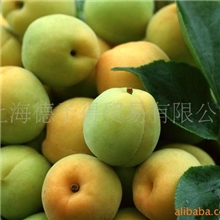 供应皮革手感剂