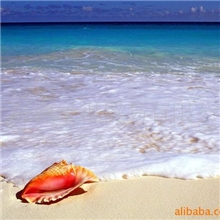 供应EFKA流平剂EFKA3288