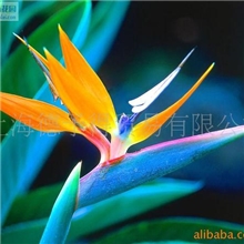 供应埃夫卡助剂EFKA3600