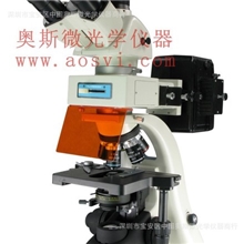 PH100型落射荧光显微镜一级代理凤凰商荧光显微镜生物显微镜