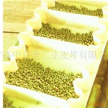 供应输送带