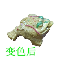 批发变色招财金蟾\五彩金蟾等各种变色茶宠哥窑汝窑茶宠特价