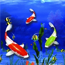 深圳立体公司供应，3D立体照片，立体画，立体名片，立体广告