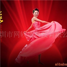 提供精美网页设计,网站开发,网页制作，专业网站制作