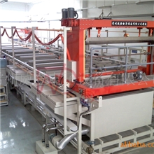 供应威登全自动电镀生产线电镀设备