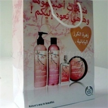 义乌制作手提袋纸袋、服装手提袋、化妆品手提袋、可覆膜烫金烫银