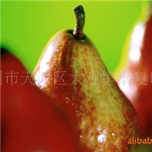 【加工同行业务】广州彩页印刷A4宣传单张免费送货