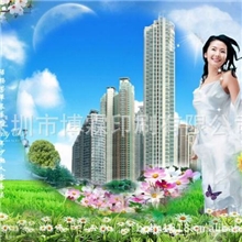 各类彩页，价廉质优