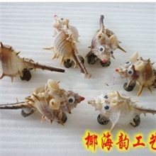 厂家直销海螺小老鼠/手工制作贝壳/贝壳工艺品设计贝壳小工艺品