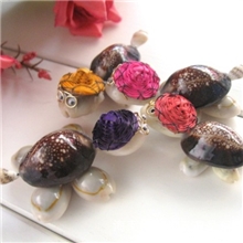 旅游纪念工艺品小乌龟摆件礼品beikepifa贝壳工艺品雪山宝螺