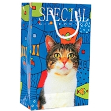 【企业集采】定做纸袋礼品纸袋新款纸袋欢迎来电质量很好