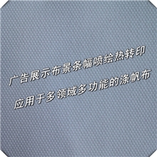 厂家供应12安全涤优质化纤布/10S/2*10S/2纯化纤面料