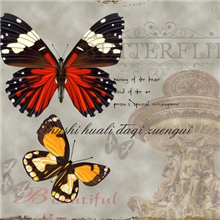 厂家直销高清高品质传统印刷《精品彩色纸卡》质量保证。