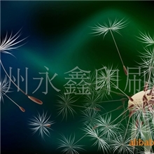 彩色名片，广告贴纸，三联单，易碎纸标签，酒类标签，