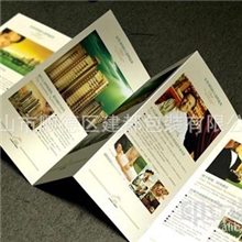 佛山定制精美宣传册/特种纸印刷/精装画册