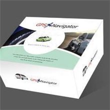 深圳茶叶彩盒包装、佛山食品包装、性用品彩盒包装、广东开窗彩盒