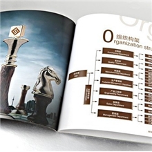 【专业品质】可加logo样本印刷画册样本印刷商务画册样本印刷
