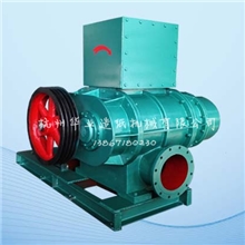 供应ZBK17罗茨真空泵(配用电机只要30KW)