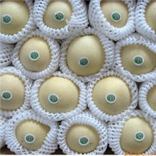 塑料发泡网生产设备