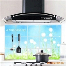 （三层）出口韩国高档铝箔防油装饰贴纸厨房防油贴纸老款蒲公英