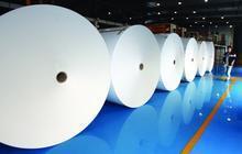 双向撕不烂150克合成纸