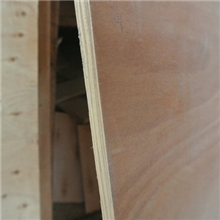 320*1000*16mm普通桉木胶合板，不含税，浅棕色木板