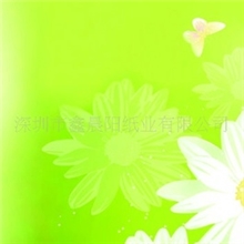 供应双向撕不烂合成纸PI-120不干胶标签合成纸