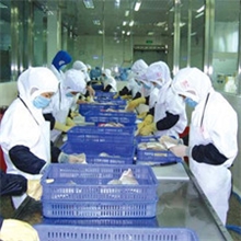 食品消毒剂无残留厂家直销原料消毒车间消毒环保无毒