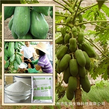 化妆品用木瓜蛋白酶国内最早木瓜蛋白酶生产企业