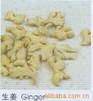 【企业直供】批发优质固体饮料、红糖姜茶专用姜粉