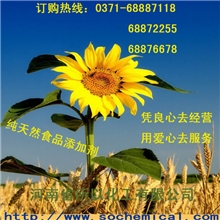 供应原装进口罗望子多糖胶/植物胶精粉