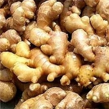 供应日化香精生姜香精（可免费提供样品）油溶、水溶