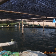 供应福建虾塘防渗膜鱼塘防渗膜水产养殖用防渗膜土工膜