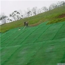 泉州哪里有透水三维植被网土工网垫代销点