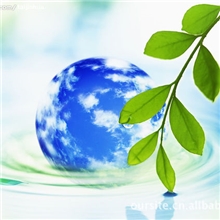 供应四特燃油清净剂